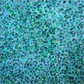 Beaded Sequin Fabric