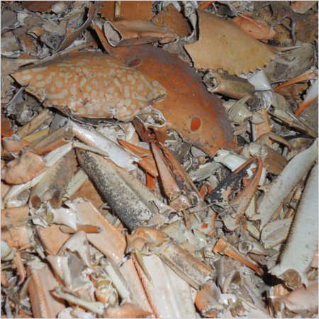 Dried Crab Shells