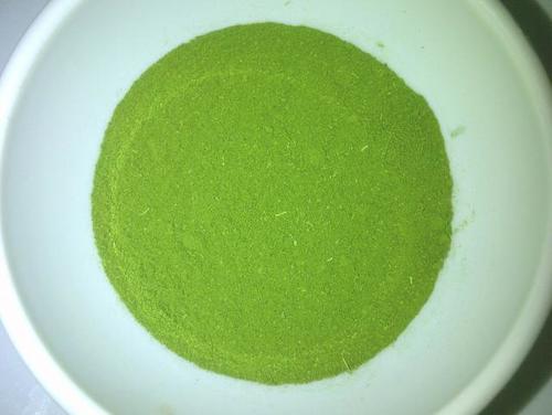 Moringa Oleifera Powder
