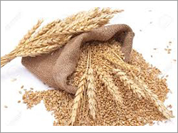 Soft Natural Milling Wheat