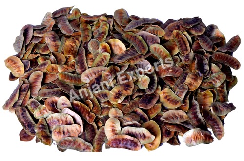 Senna Pods