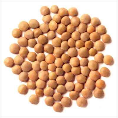Red Lentils