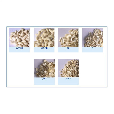 Cashew