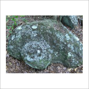 Magnesium Silicate
