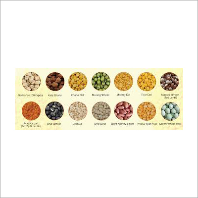 Pulses