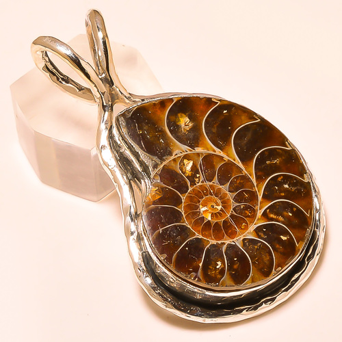 AMMONITE FOSSIL