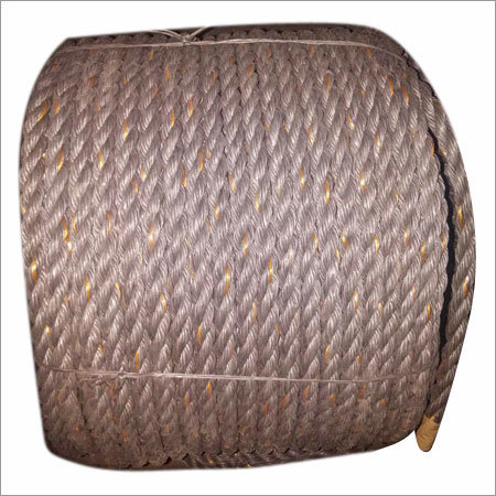 PP Danline Rope