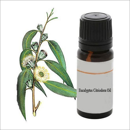 Citriodora Oil
