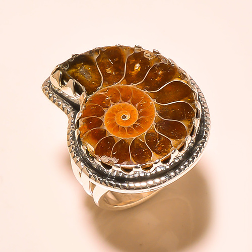 AMMONITE FOSSIL VINTAGE STYLE