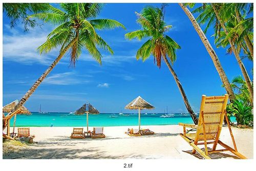 beach wear fabrics