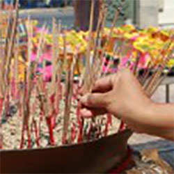 Sandalwood Incense Sticks