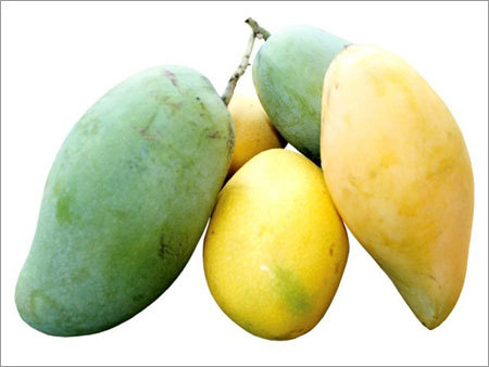 Raw Mango