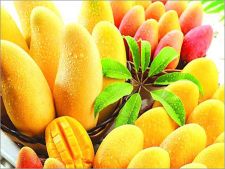 Dashari Mango