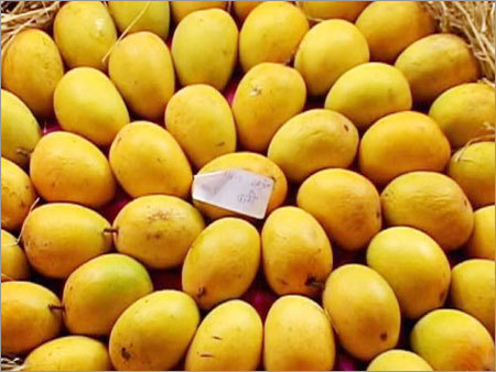 Banganapalli Mango