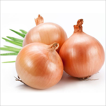 Yellow Onions - Organic, Size 60-75 mm, Golden Brown Skin, White Flesh | Nutrient-Rich, Safe to Consume, Perfect for Cooking and Salads