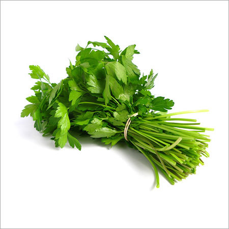 Greens Coriander