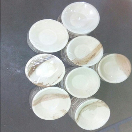 Areca Disposable Plates