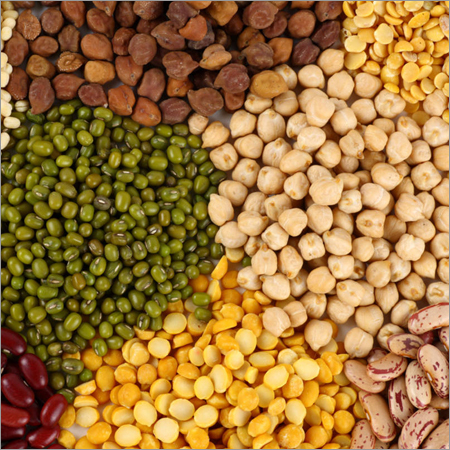 Organic Pulses