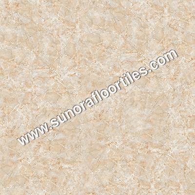 Glossy Floor Tiles