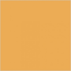 Glazed Vitrified Tiles 600 X 600 mm