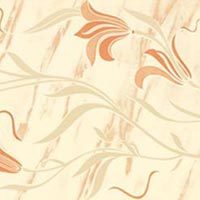 Ceramic Wall tiles 200 X 300