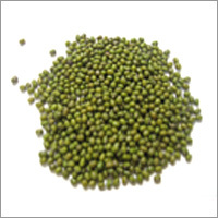 Green Lentils