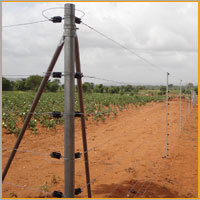 Electric Fencing