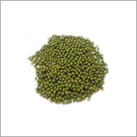 Green Lentils