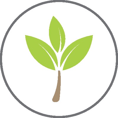 Organic Tea