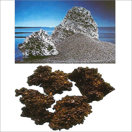 Boron Carbide By CERAMICS INTERNATIONAL