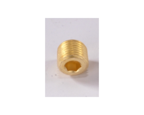 Brass Hex Plug