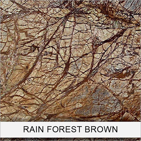 Rain Forest Brown