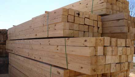 New Zealand Pine Wood New Zealand Pine Wood