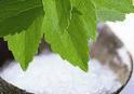 Stevia White Powder By VANASHREE AGRICULTURE PVT. LTD.