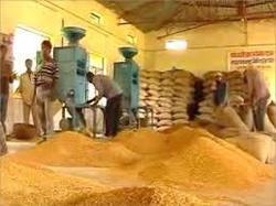 Subsidy Consultation Service For Rice Mill Project