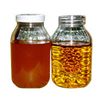 Biofuel Oil