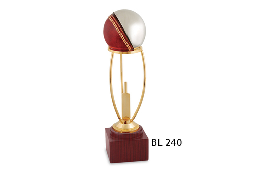 Metal Trophies - Metal & Wood, 20-30 cm Height, Gold | Polished Finish, Award Recognition, Motivational Tool