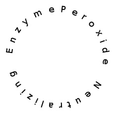 Peroxide Neutralizing Enzyme