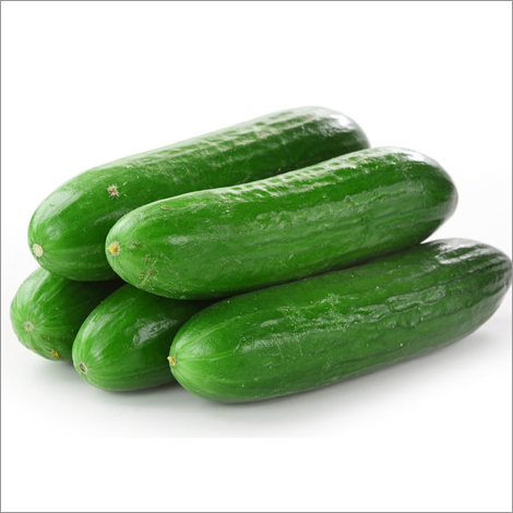 Fresh Cucumbers