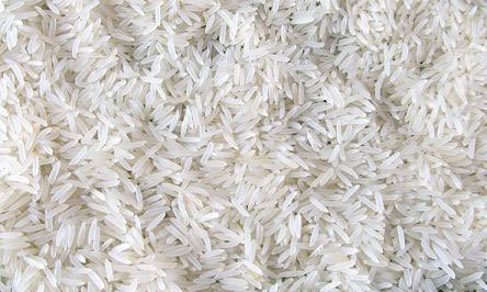 Grains & Seeds