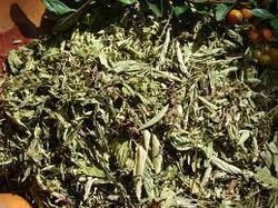 Stevia Rebaudiana Dry Leaves