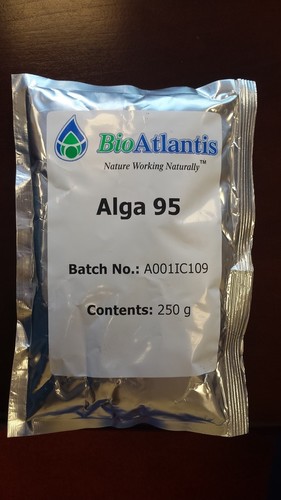 Alga 95
