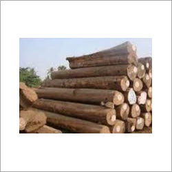 Meranti Wood