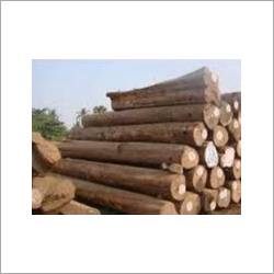 Pine Wood