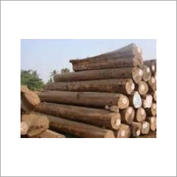 Teak Wood