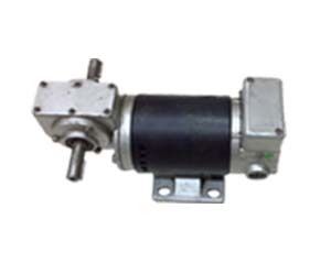 Gear Motor