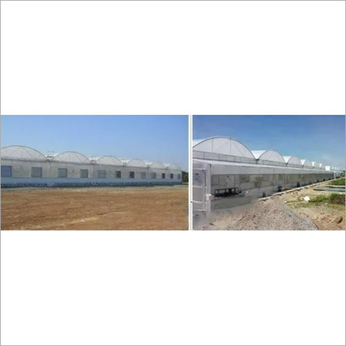 Greenhouse and Polyhouse Contractor