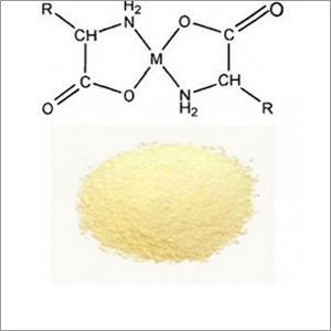Manganese Glycine Amino Acid Chelate By SHIVAM AGRO INDUSTRIES