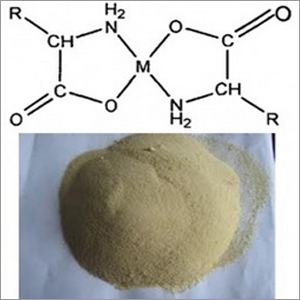 Calcium Glycine Amino Acid Chelate By SHIVAM AGRO INDUSTRIES