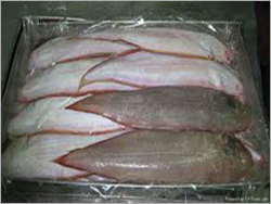 Frozen Tongue Sole Fish By RIHKSMAYOR IMPORT AND EXPORT (PTY) LTD.